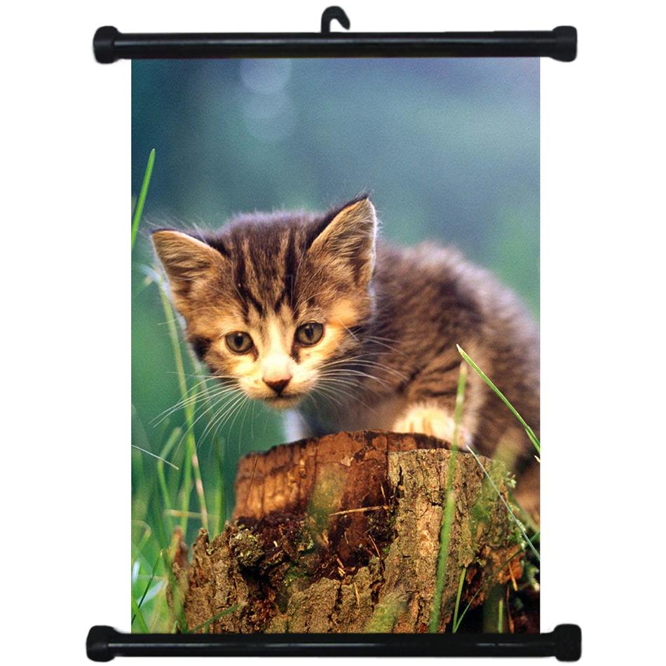 sp217056 Breed Cats Kitty Wall Scroll Poster For Pets Shop Decor Display