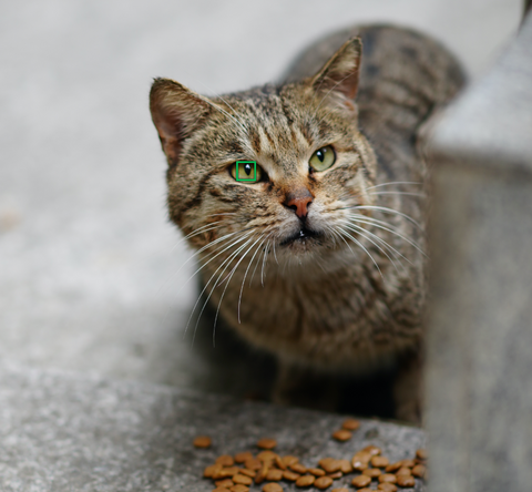 Tupianku Image Hosting Service