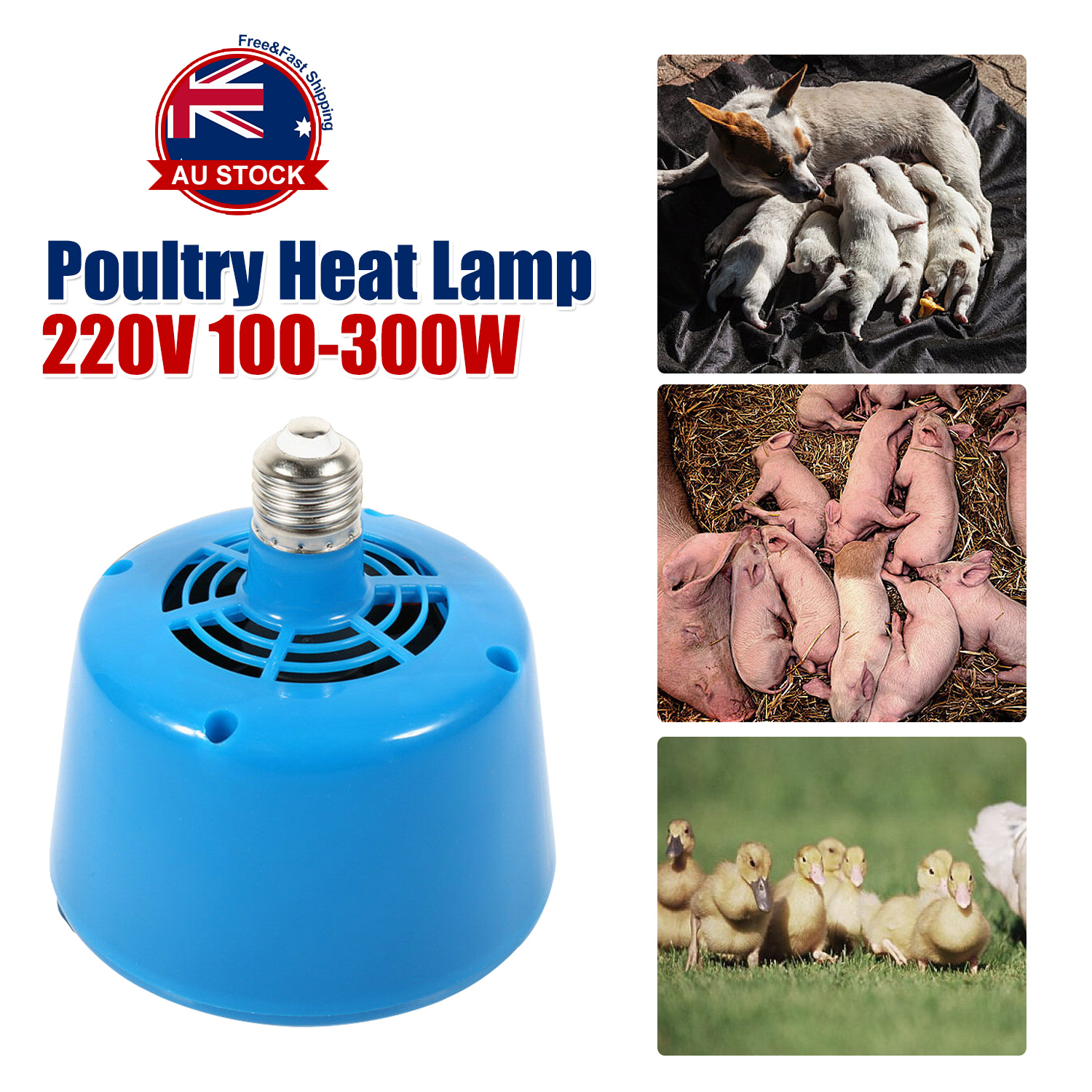 Poultry Heat Lamp Bulb Warming Light For Brooder Piglets Chicken Pet