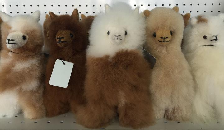 llama soft toy australia